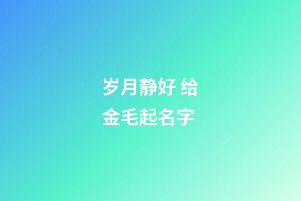 岁月静好 给金毛起名字
